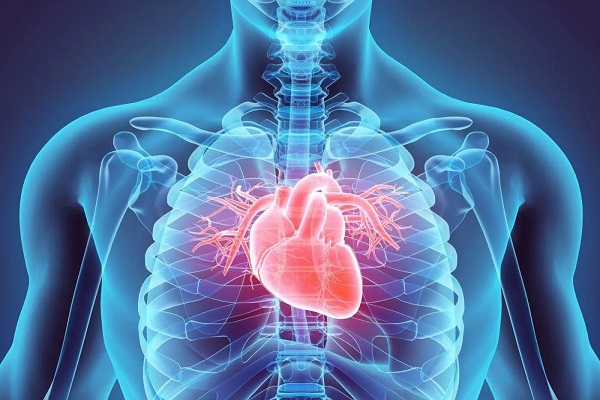 Cardiology